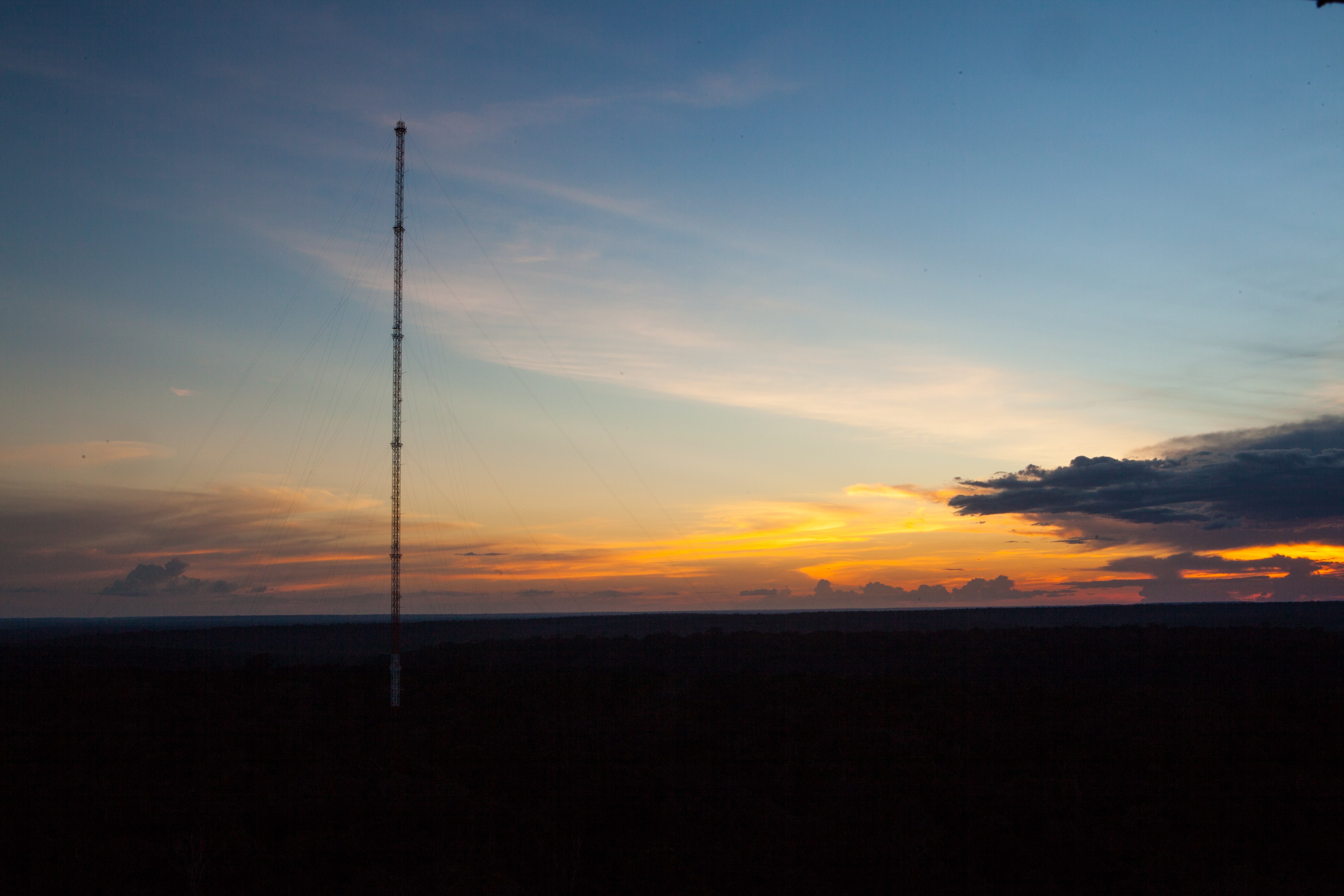 Gallery ATTO Amazon Tall Tower Observatory