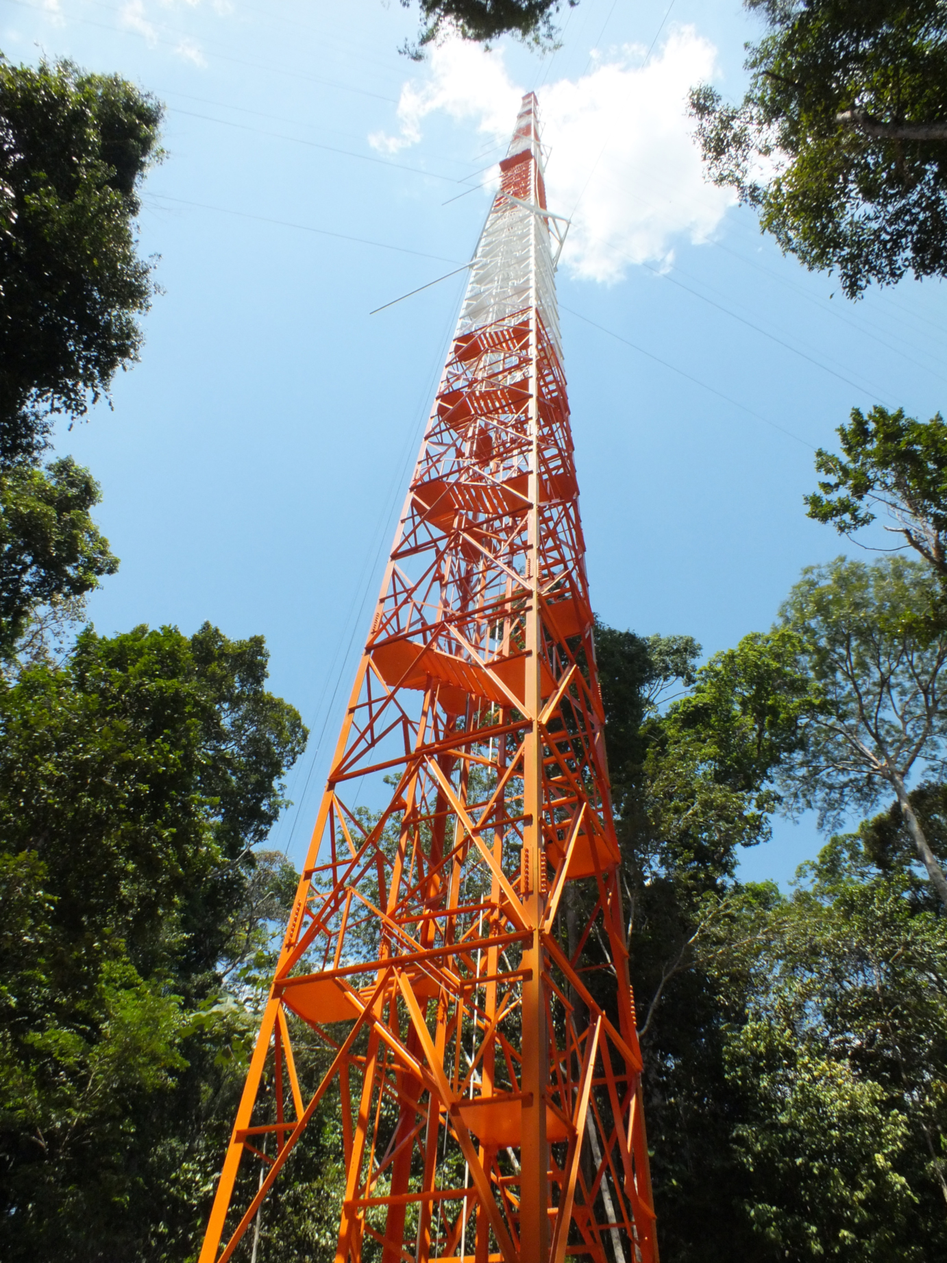 Gallery ATTO Amazon Tall Tower Observatory