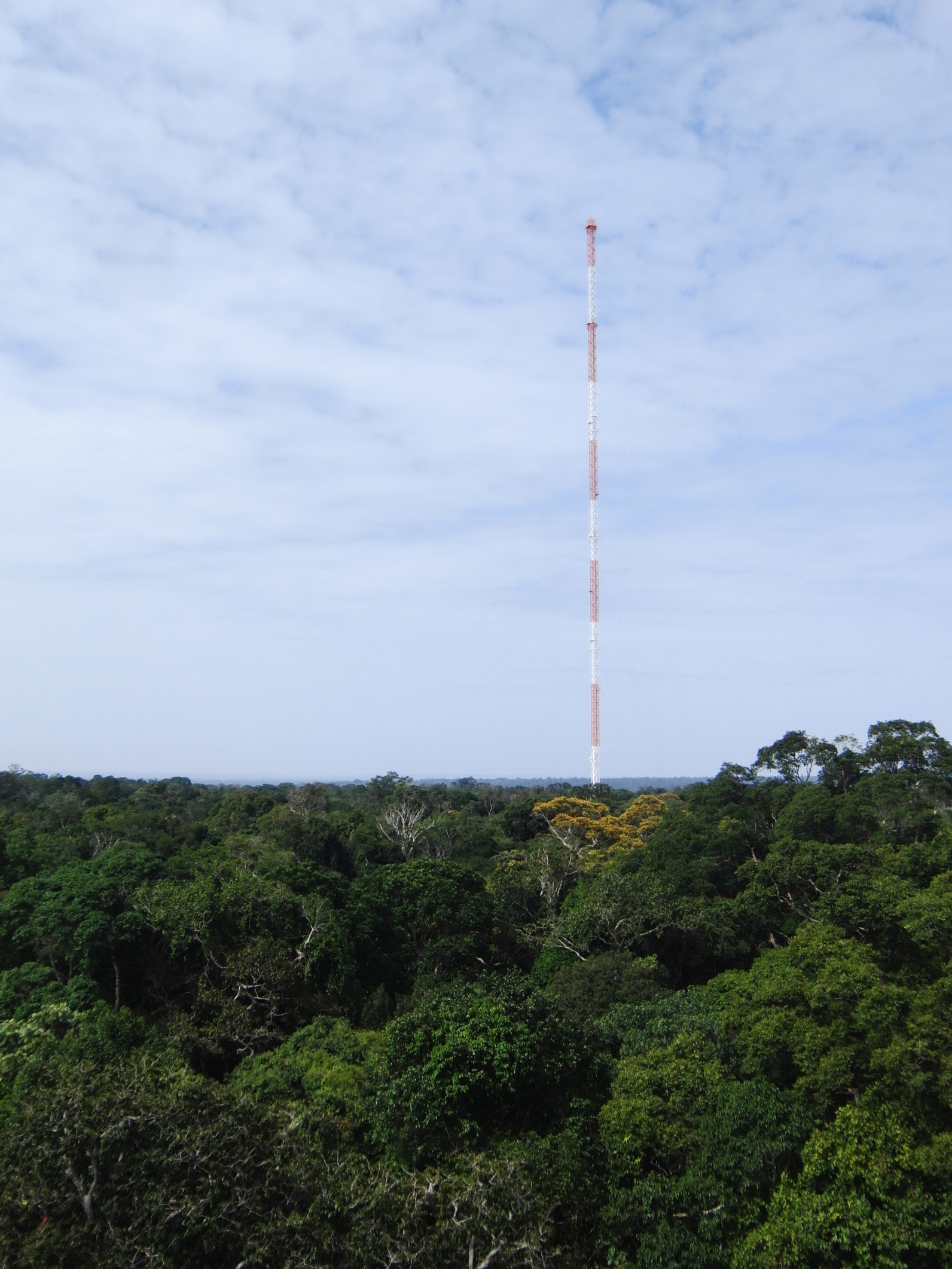 Gallery ATTO Amazon Tall Tower Observatory