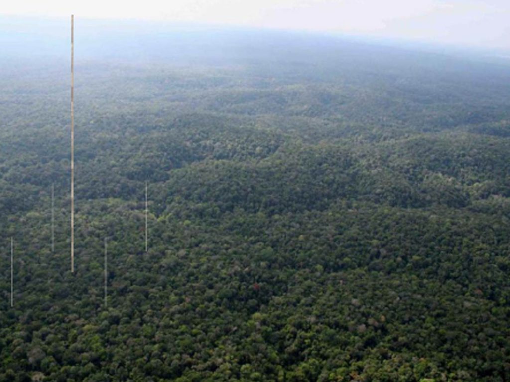 Photo of the Amazon rainforest into which 4 towers are manipulated: a very tall tower in the center and 4 smaller towers surrounding in like a square.