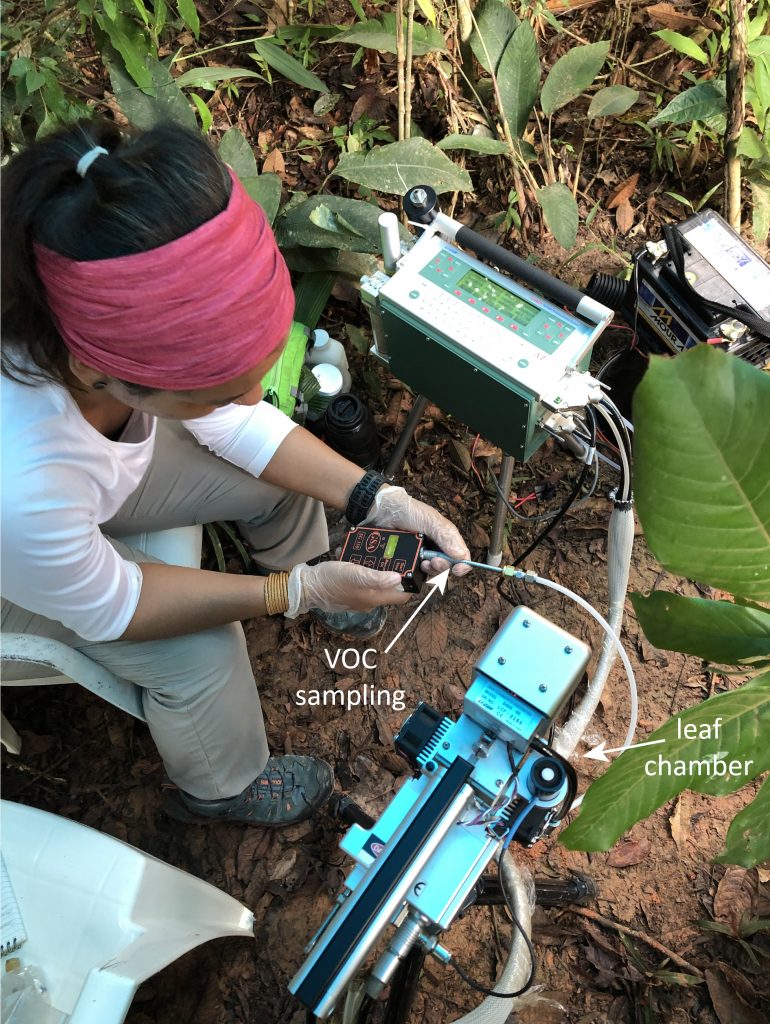 Eliane measures VOC emissions of leafs with the IRGA, a gas analyzer.