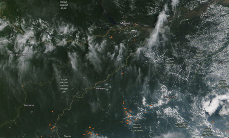 Rauch aus der Verbrennung von Biomasse steigt über dem zentralen Amazonasbecken in die Atmosphäre auf. © NASA
