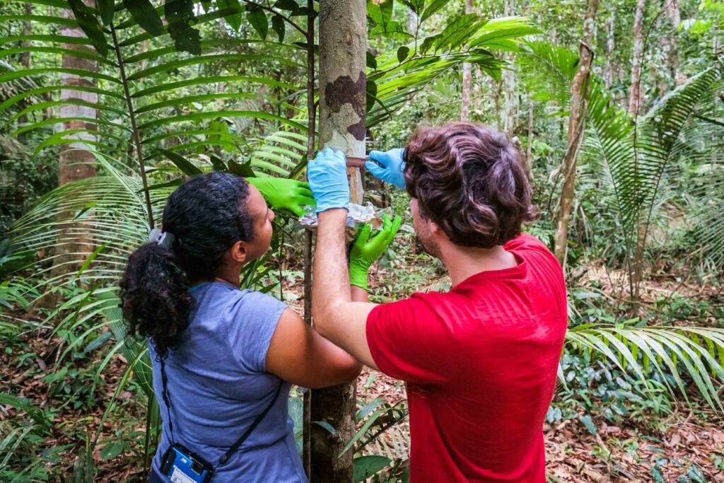Cybelli Barbosa and Achim Edtbauer collecting cryptogamic samples in the rainforest.