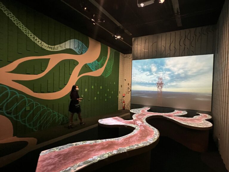 A model of a tree trunks curves towards a video screen like a river on the museum floor.