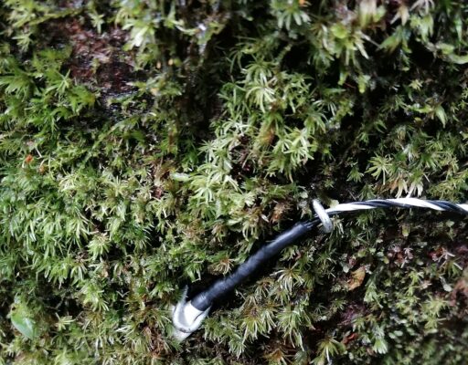 Close-up of the microclimate Sensors measuring temperature, light and humidity.