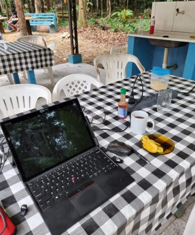 Freshly baked banana chips make an excellent work-time snack...