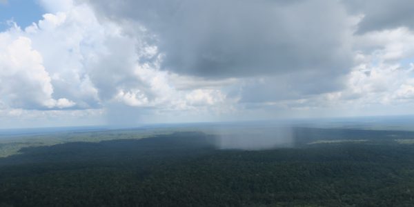 Rain clouds over the Amazon Rainforest, as seen from the ATTO research tower
© Sebastian Brill / MPI-C
