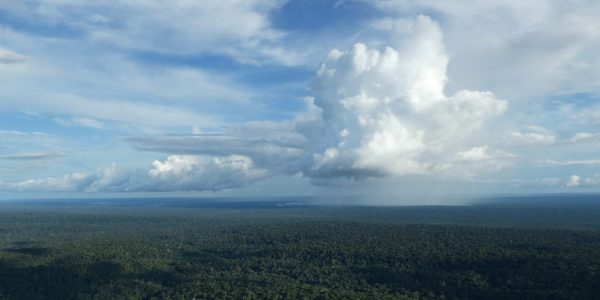 Transition from shallow to deep cumulus interacting with the Amazon rainforest. The interaction is visible through cloud shadows modifying photosynthesis and evaporation, and through precipitation beneath the developing cloud.
© Jordi Vila