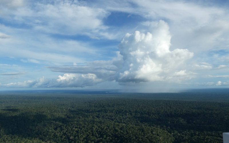 Übergang von flachen zu tiefen Cumuluswolken im Zusammenspiel mit dem Amazonas-Regenwald. Ihr Zusammenspiel zeigt sich in den Wolkenschatten, die die Photosynthese und die Verdunstung beeinflussen, sowie in den Niederschlägen unterhalb der sich bildenden Wolke.
© Jordi Vila