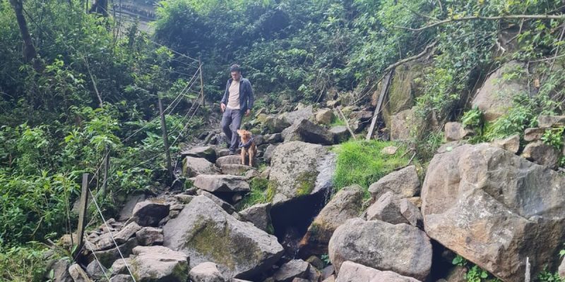 Man and dog hike rocky mountain trail surrounded by lush green forest