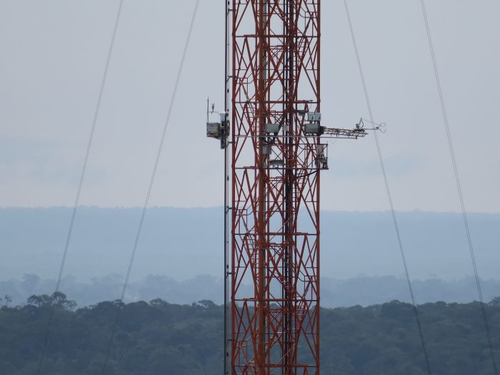 RoLi climbing above the tree canopy at the ATTO tall tower
© Sebastian Brill / MPI-C