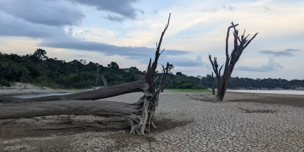 Ausgetrocknetes Flussbett des Uatumã-Flusses im brasilianischen Amazonas- Regenwald, aufgenommen im Jahr 2024.
© Sebastian Brill, MPI-C
